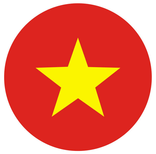 Doidiachi.net